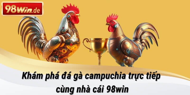 Khám phá đá gà campuchia trực tiếp hấp dẫn tại 98win